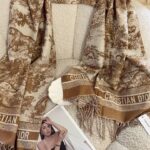 شال كتف ديور بيج