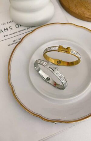 اسواره HERMES  زرقون